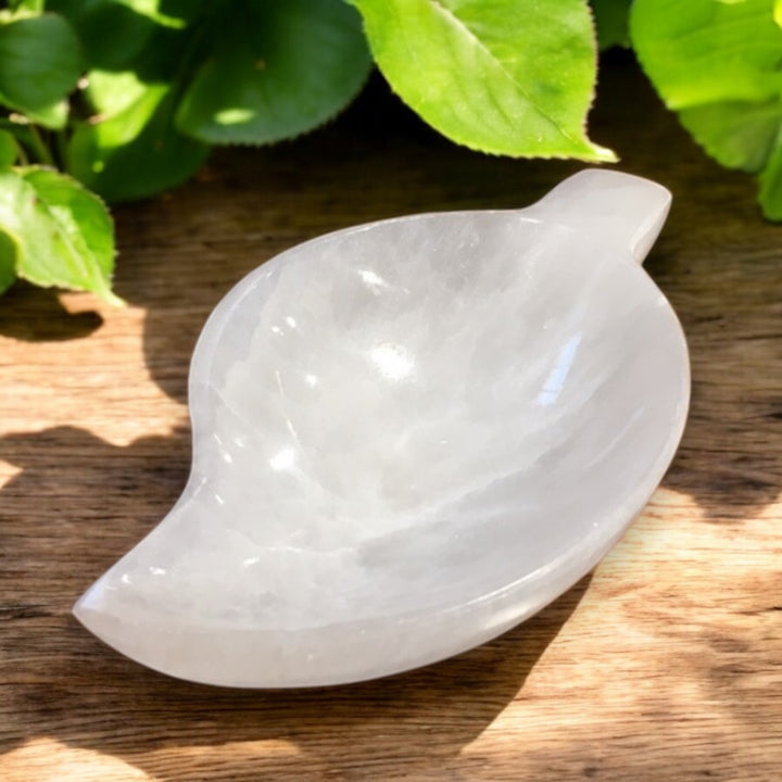 CARVINGS || SELENITE CHARGING BOWL - LEAF