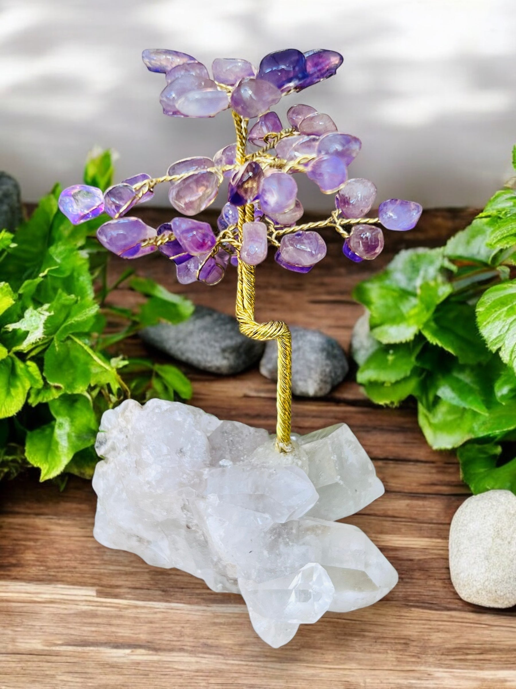 MONEY TREE || AMETHYST & QUARTZ CLUSTER