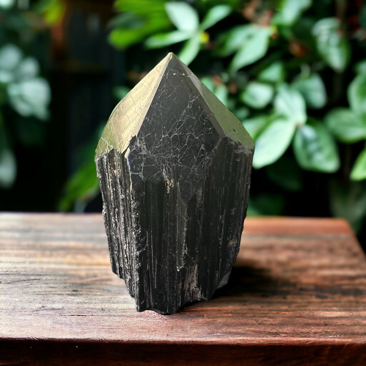 GENERATORS || BLACK TOURMALINE POLISHED TOP