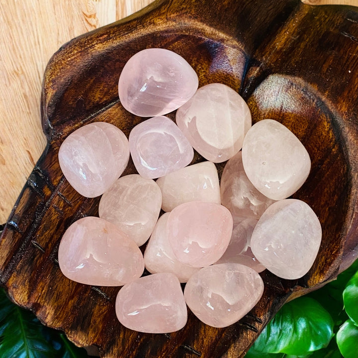 TUMBLE STONES || ROSE QUARTZ