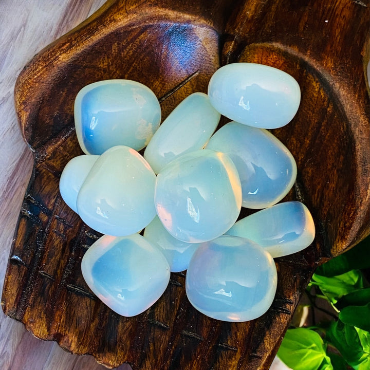 TUMBLE STONES || OPALITE