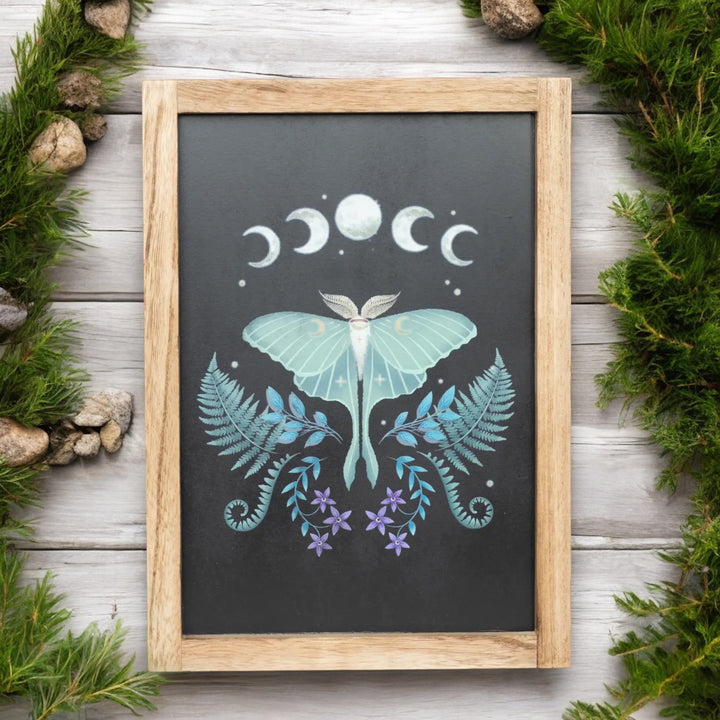 WALL HANGING || LUNA MOTH FRAMED WALL ART