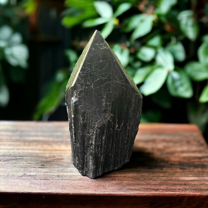 GENERATORS || BLACK TOURMALINE POLISHED TOP