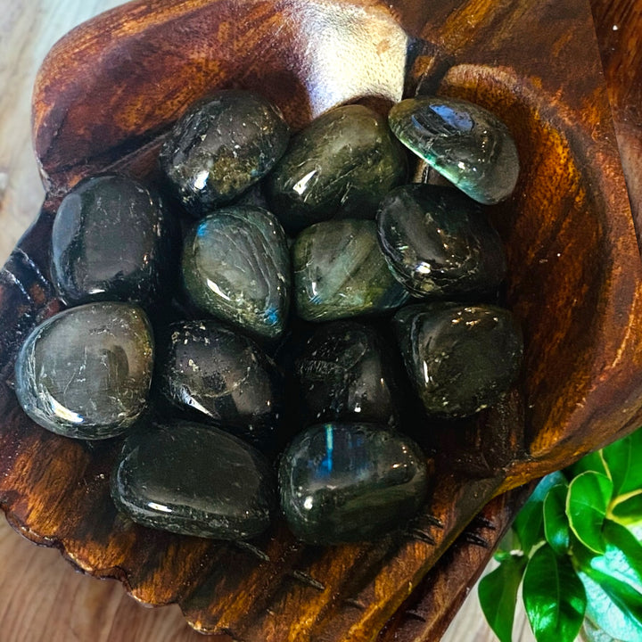 TUMBLE STONES || LABRADORITE