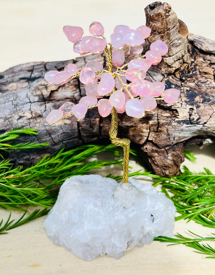 MONEY TREE || ROSE QUARTZ & QUARTZ CLUSTER