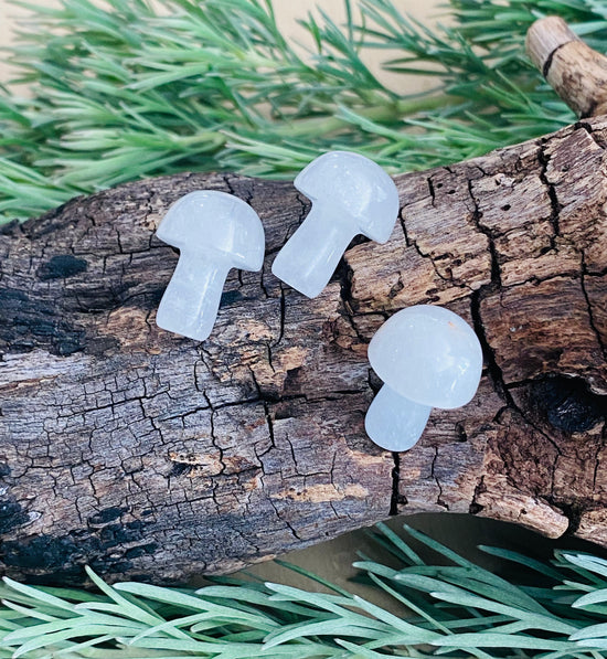 CARVINGS || CLEAR QUARTZ MINI MUSHROOM