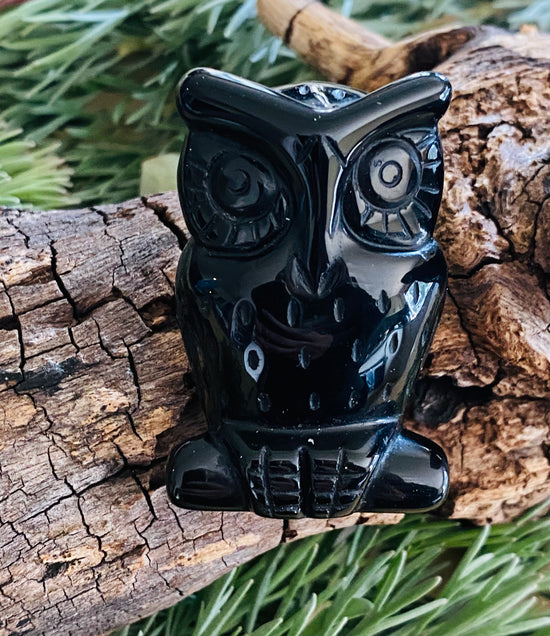 CARVINGS || BLACK OBSIDIAN OWL