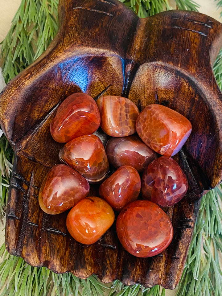 TUMBLE STONES || CRACKLED FIRE AGATE