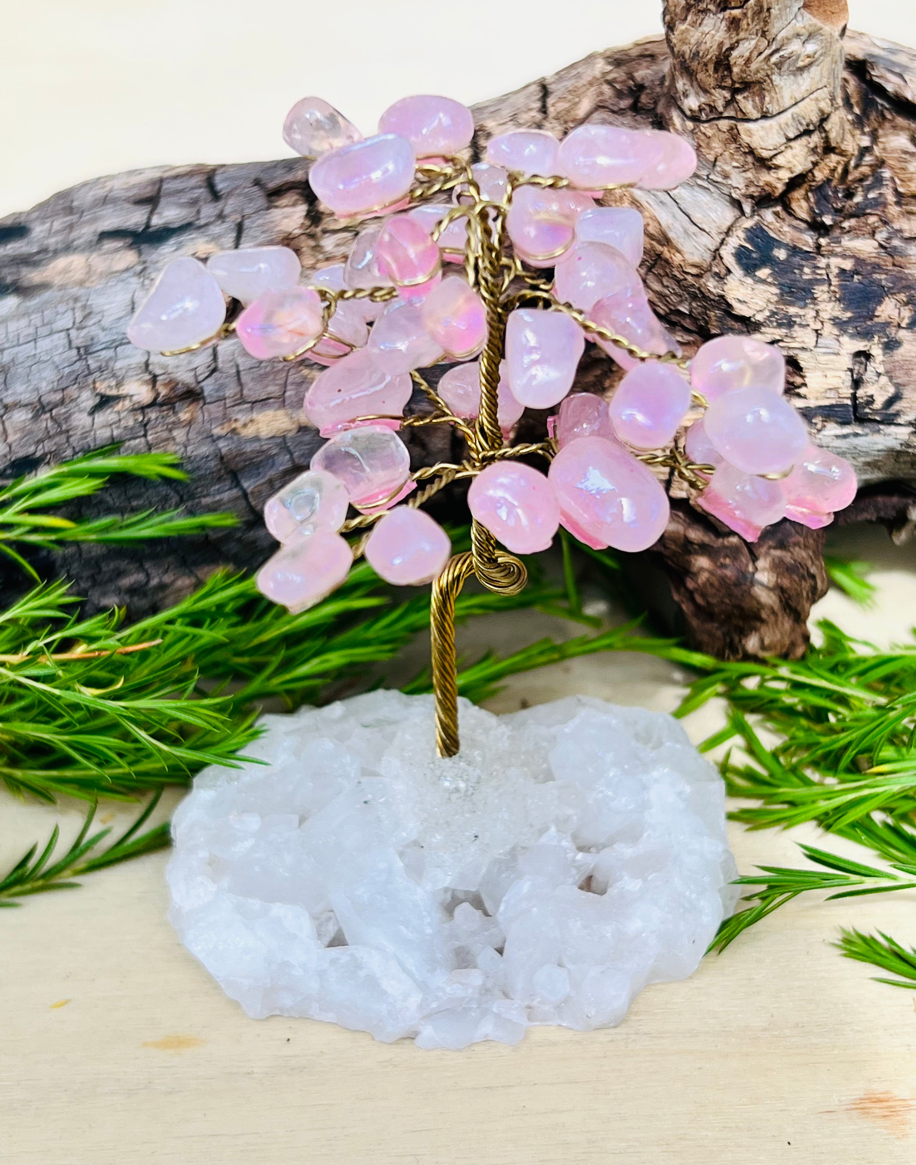 MONEY TREE || ROSE QUARTZ & QUARTZ CLUSTER