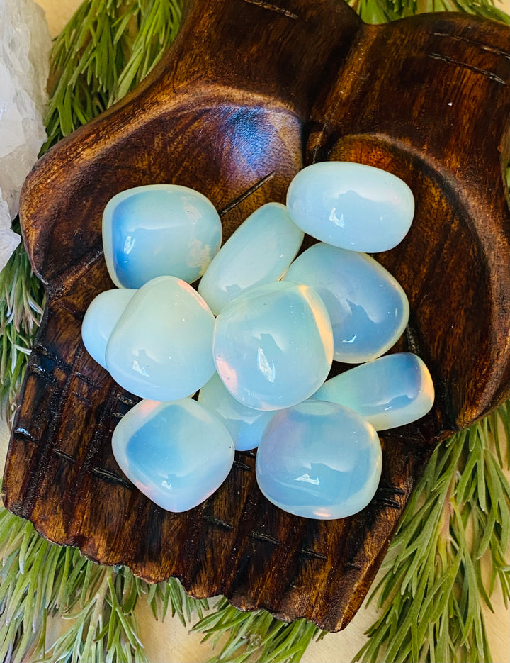 TUMBLE STONES || OPALITE